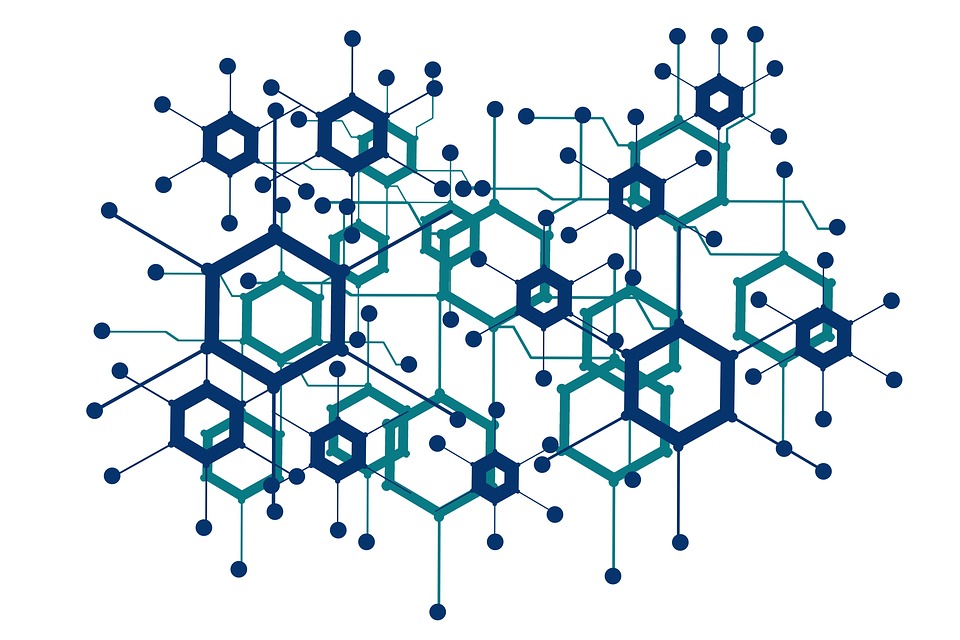 DUPRI to Co-Sponsor Social Networks and Health Workshop, May 13-17, 2019