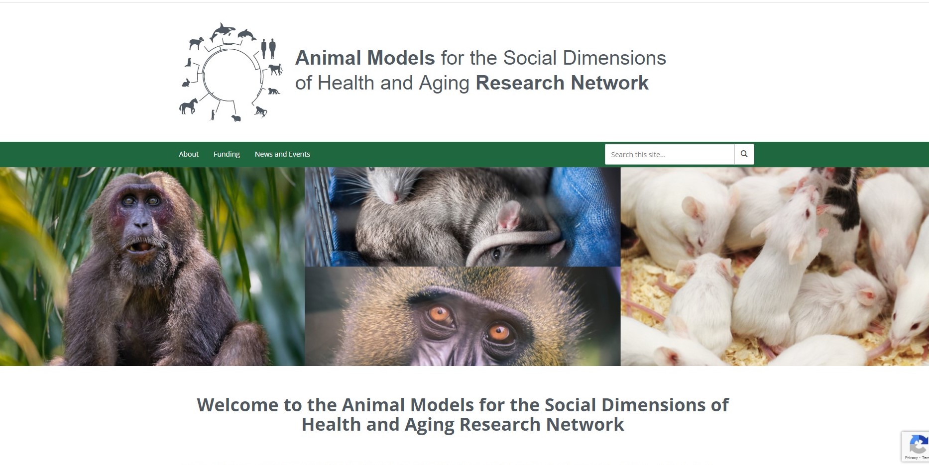 Animal Models Network  Now Accepting 2020-2021 Pilot and Feasibility Project Applications 