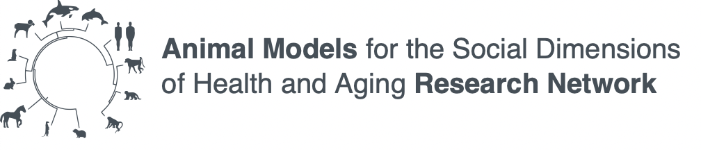 Animal Models for the Social Dimensions of Health and Aging Research Network hosts first in-person catalysis meeting